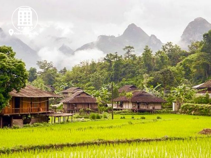 Không gian thiên nhiên bao trùm điểm lưu trú